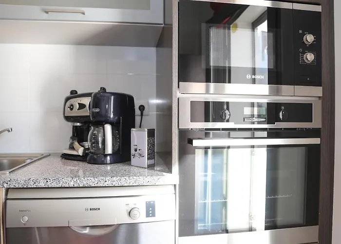 Lusitano Daire Nazaré